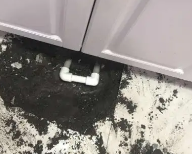 彭水查漏水哪家好
